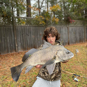 Meet your Posher, River